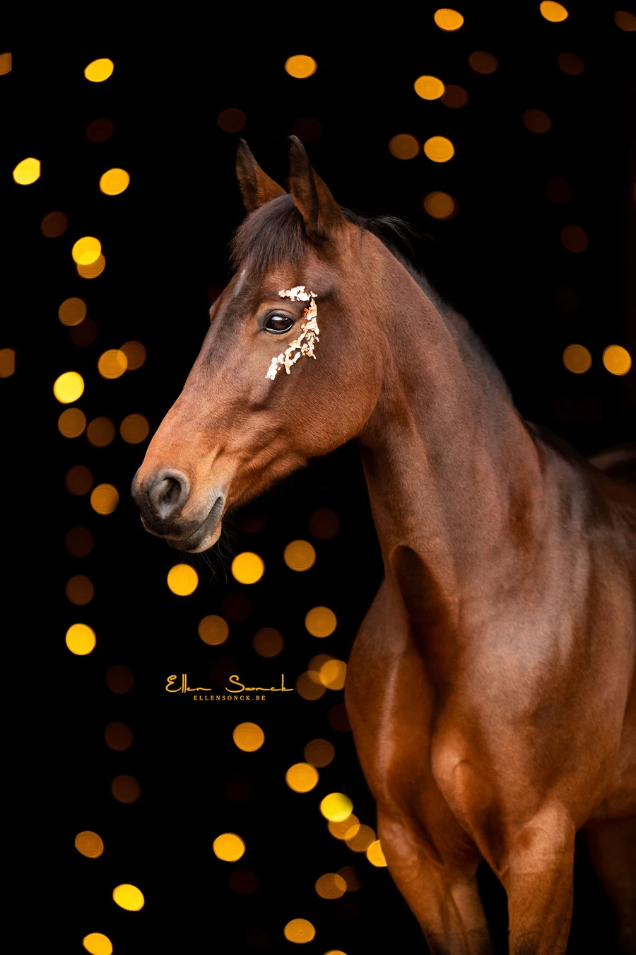 Shop Bokeh Lights Golden